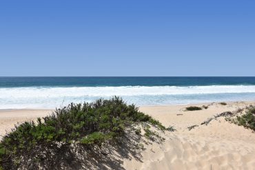 Comporta Portugal Guide Beach Restaurants