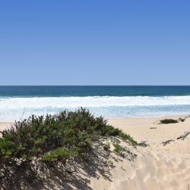 Comporta Portugal Guide Beach Restaurants