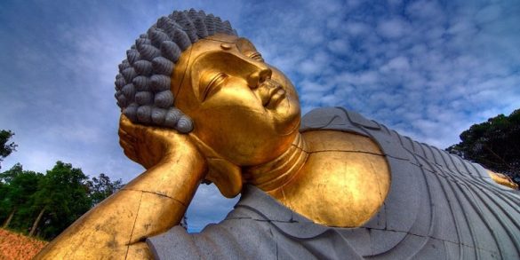 Buddha Eden Portugal