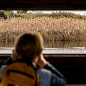 birdwatching vilamoura