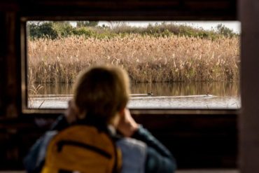 birdwatching vilamoura