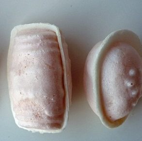 ovos moles Aveiro Maria da Apresentação da Cruz