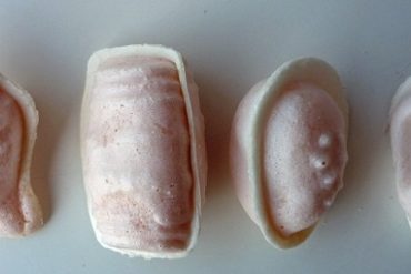 ovos moles Aveiro Maria da Apresentação da Cruz