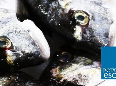 Peixaria da Esquina Vitor Sobral lisbon portugal