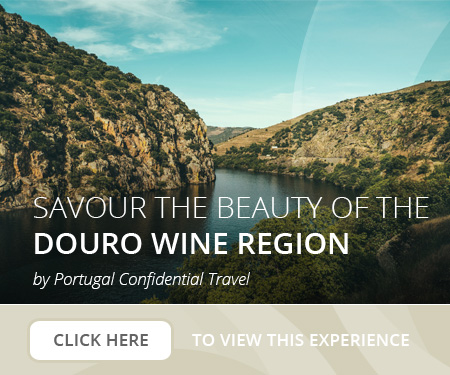 porto douro tours,