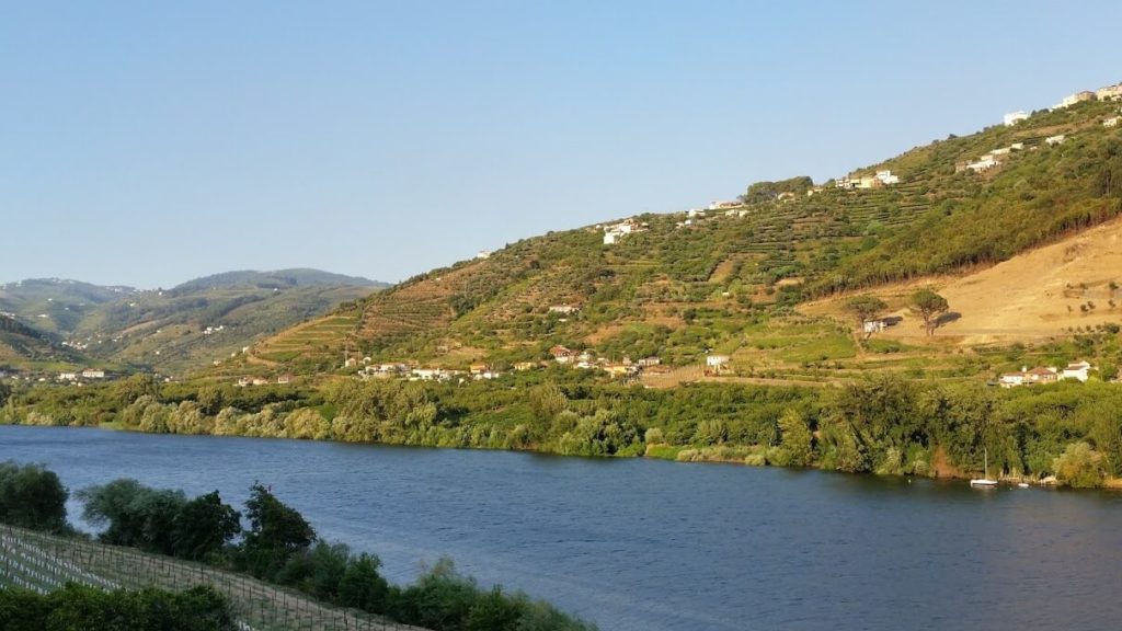 Portugal Itinerary 7 Days - Porto Wine Tour