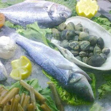 restaurant sao joao comporta,