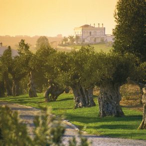 wine tours alentejo portugal