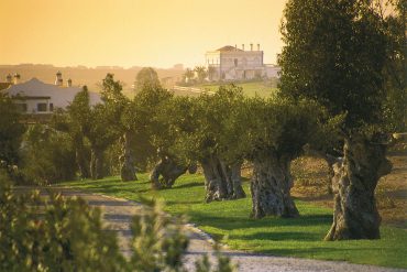 wine tours alentejo portugal
