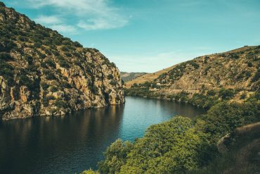 Porto Douro River Cruise and Wine Tasting Portugal Experience