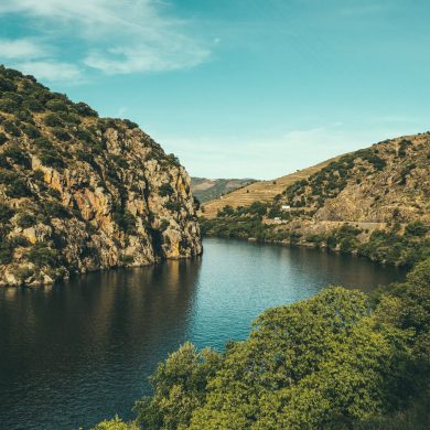 Porto Douro River Cruise and Wine Tasting Portugal Experience