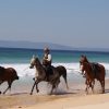 Cavalos na Areia Comporta