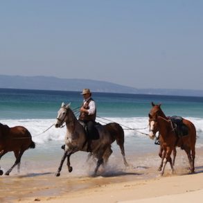 Cavalos na Areia Comporta