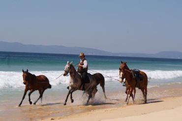 Cavalos na Areia Comporta