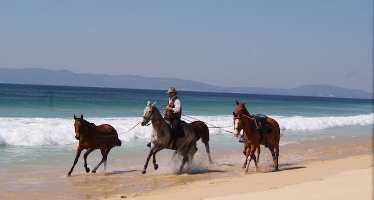Things to do in Comporta Portugal Horse Riding Cavalos na Areia