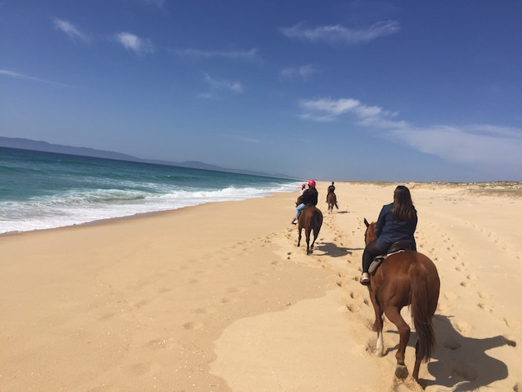 Cavalos na Areia Horse Riding Comporta