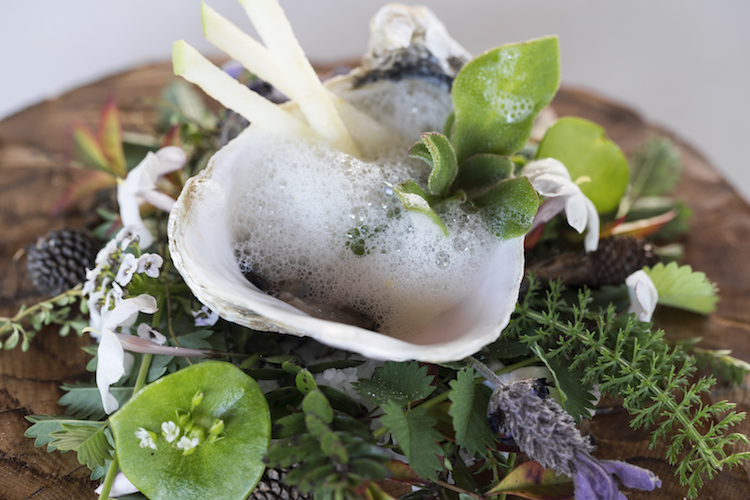 food circle sublime comporta alentejo, chef tiago santos,