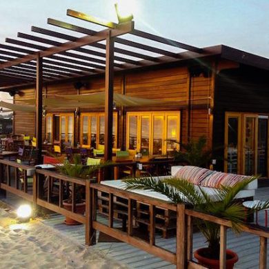 ilha do arroz comporta portugal