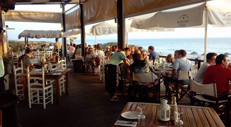 ilha do arroz comporta portugal