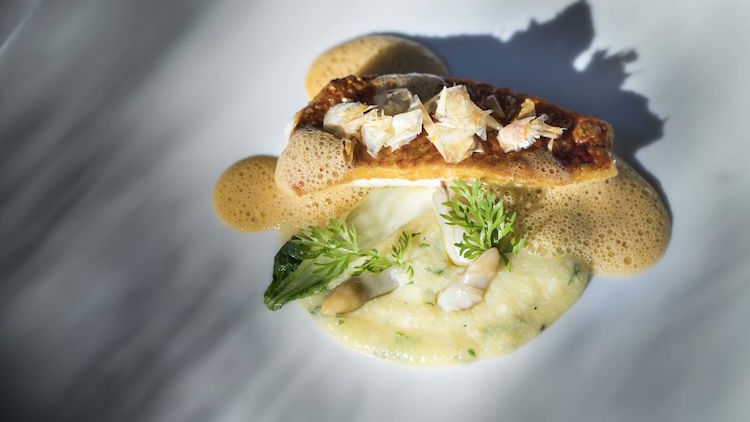 sem porta restaurant food sublime comporta alentejo portugal