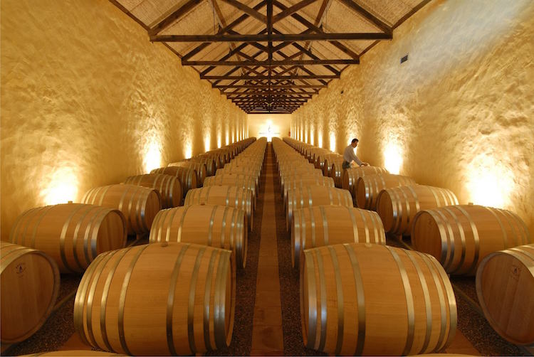 wine tasting herdade da comporta,