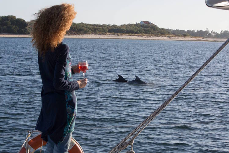 dolphin watching comporta sado estuary alentejo