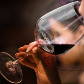 wine tasting herdade da comporta,