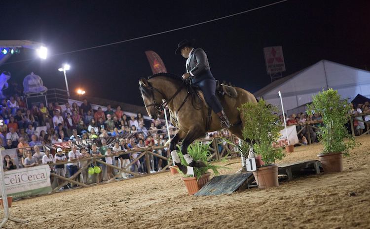 fatacil lagoa algarve