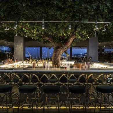 seen lisboa olivier tivoli avenida,