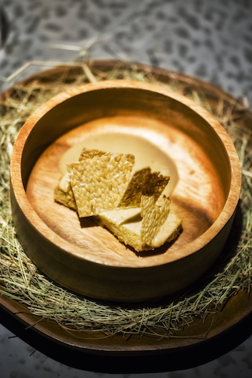 100 maneiras, ljubomir stanisic,