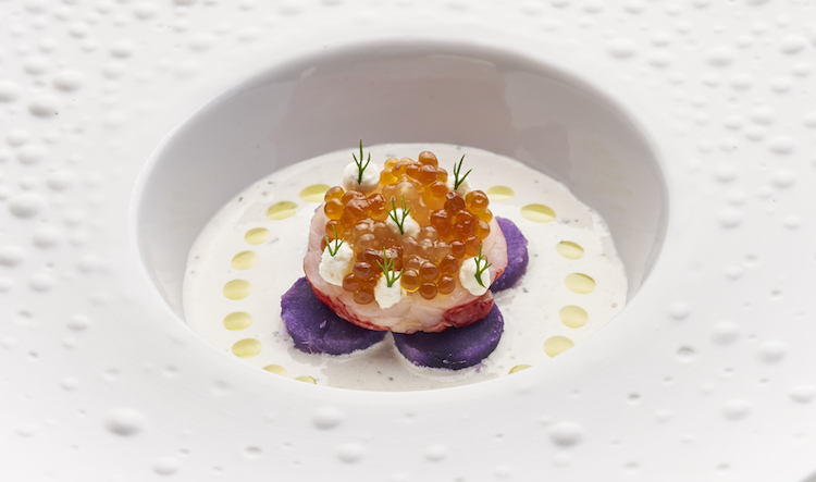 il gallo d oro benoit sinthon