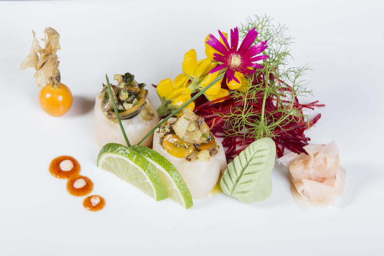 santa barbara eco beach resort azores