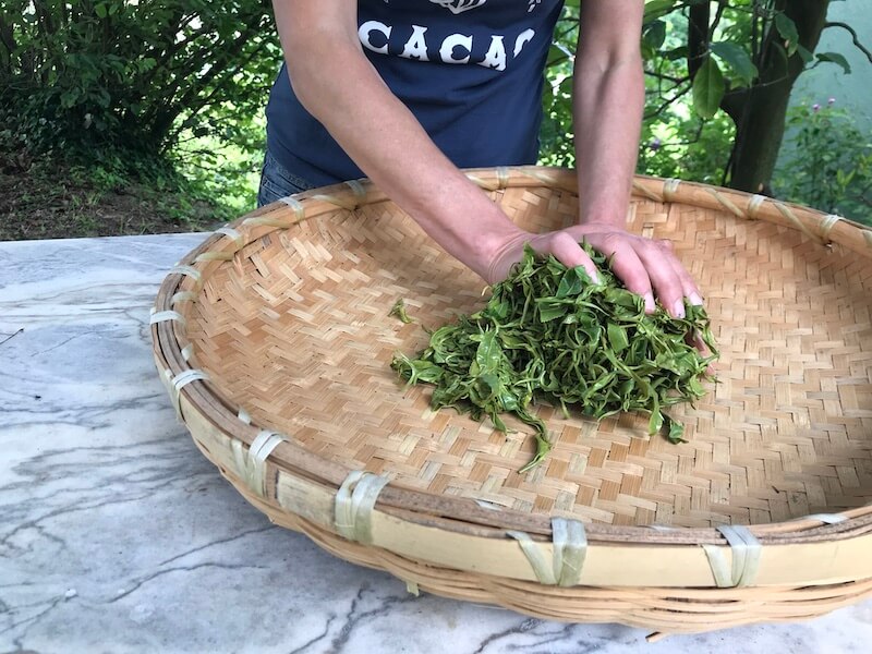 tea made in portugal