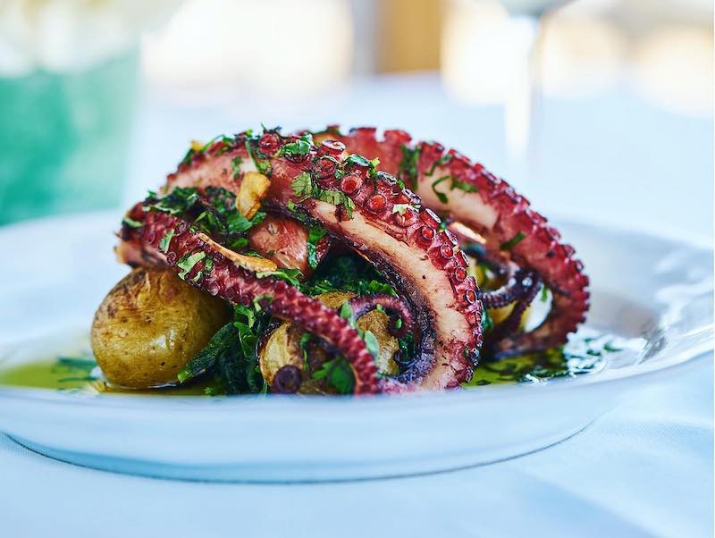 grilled octopus lisbon