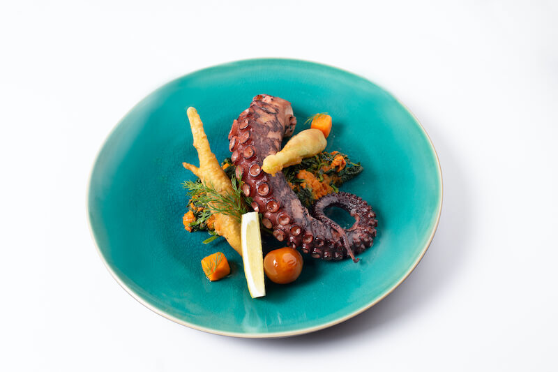 the golden catch octopus