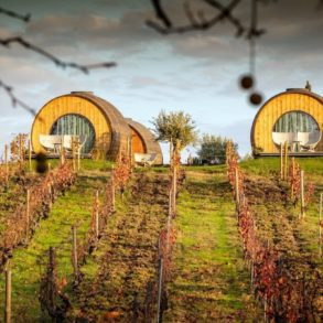 qunita da pacheca winery hotel