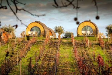 qunita da pacheca winery hotel