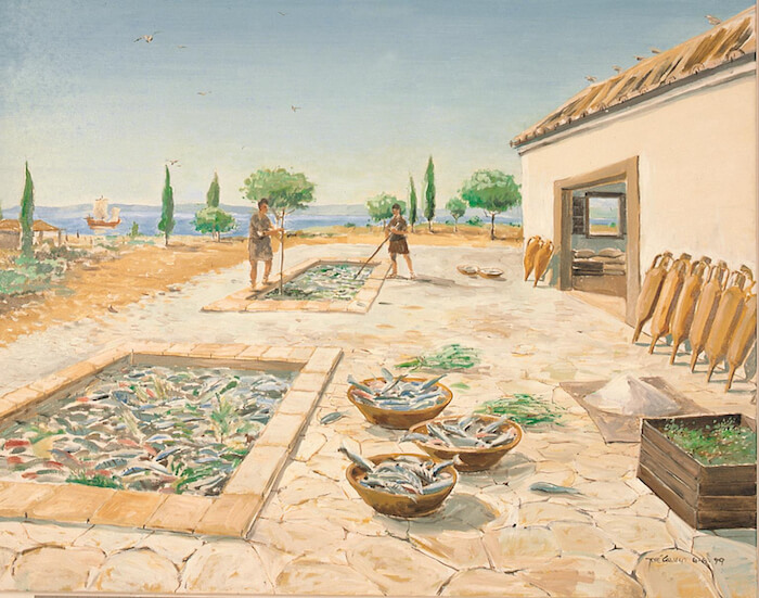 cerro da vila fish processing