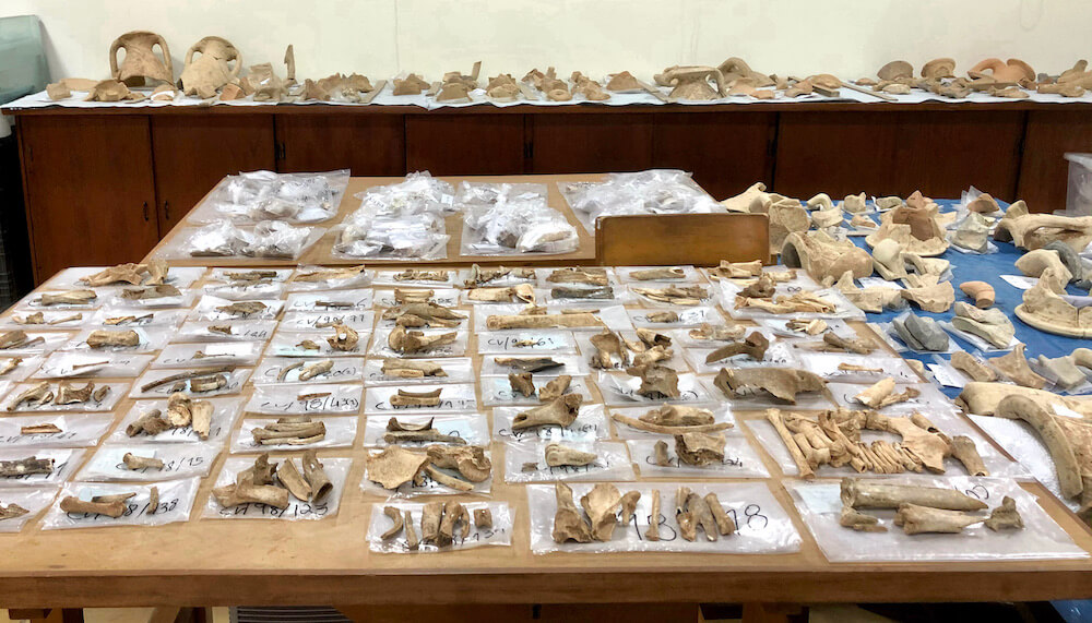 zooarchaeology algarve