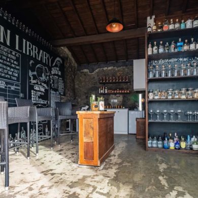 the gin library ponta delgada