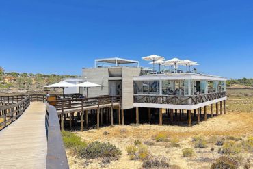 the bold octopus algarve