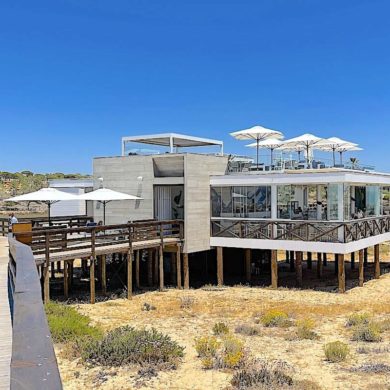 the bold octopus algarve