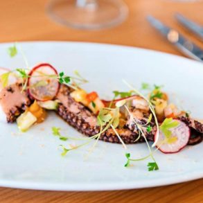 aurora vitor veloso loule