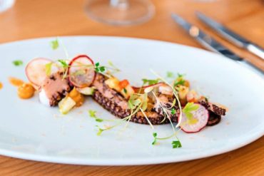 aurora vitor veloso loule