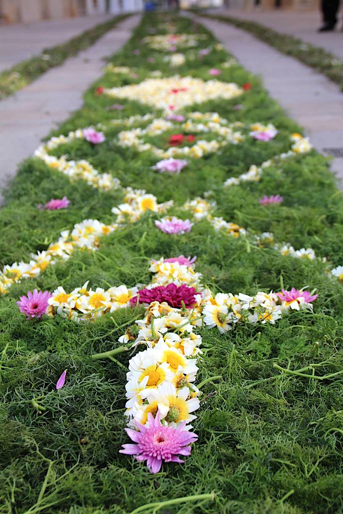 Sao Bras Festas Tochas floridas