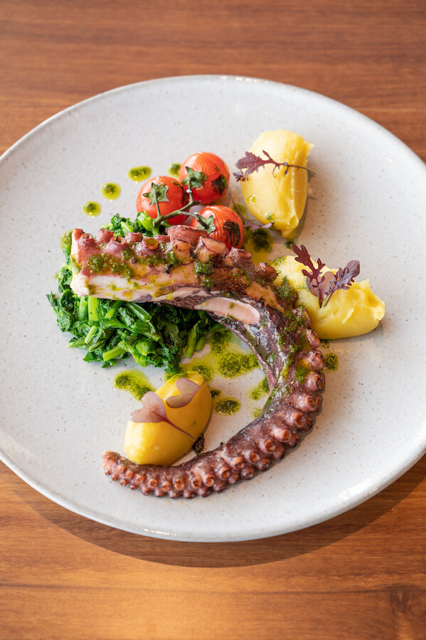 octopus rio de prata