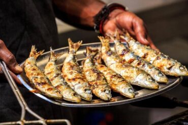 sardine festival portimao