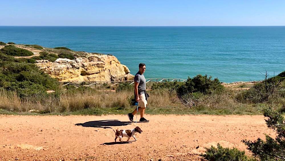 can i bring dog to portugal