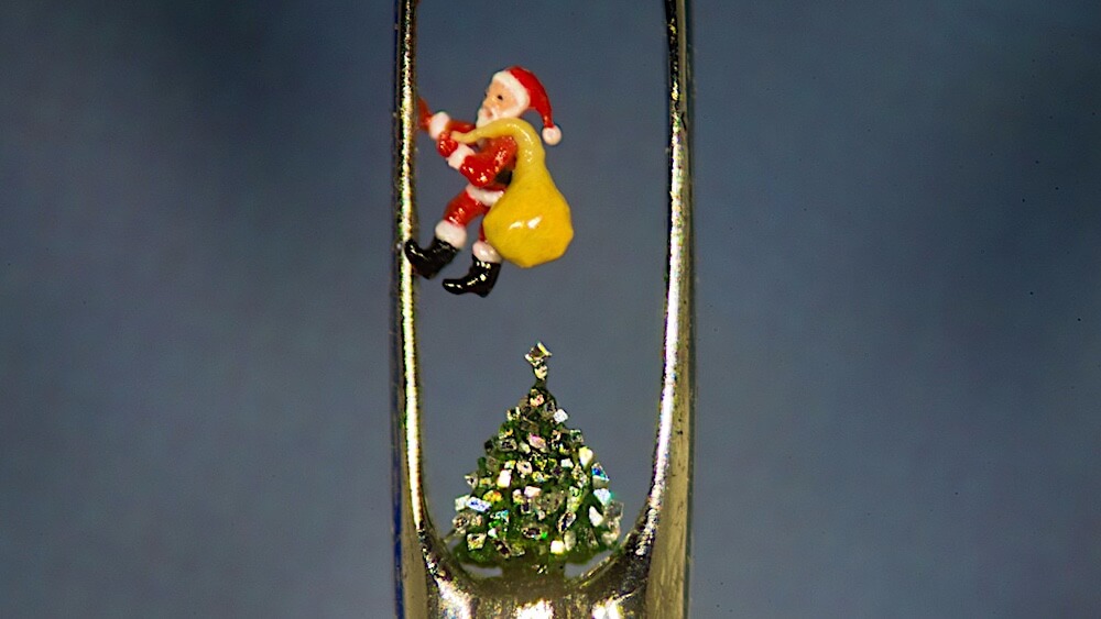 worlds smallest santa