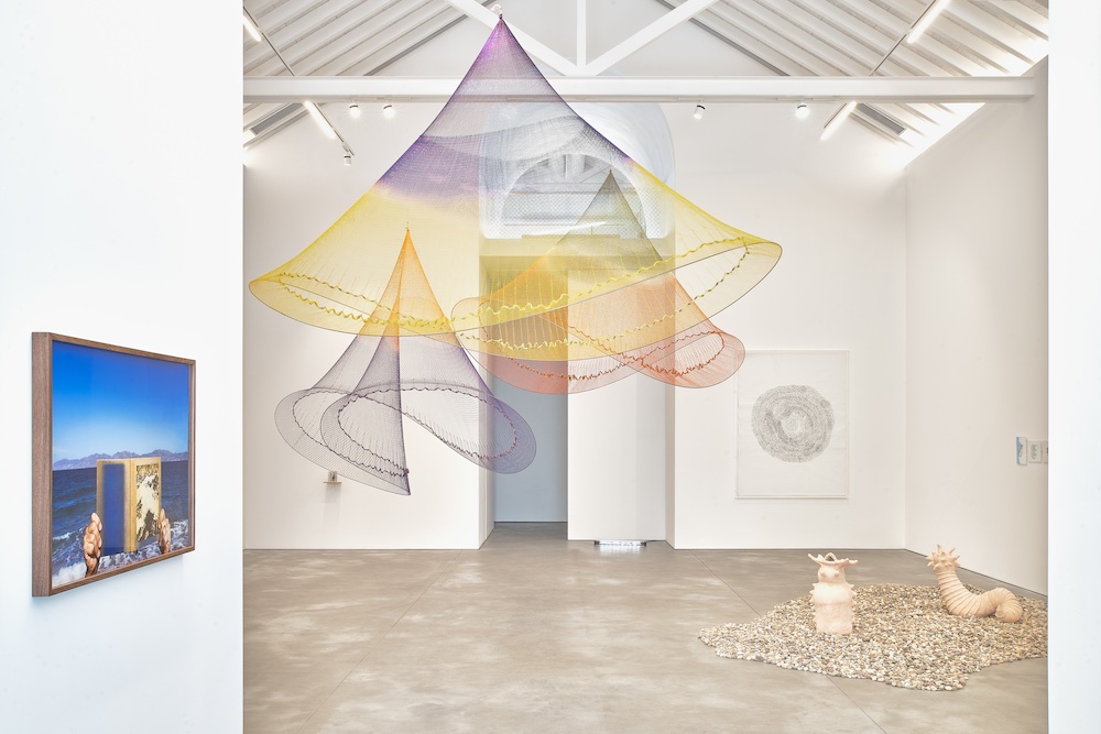 galeria francisco fino